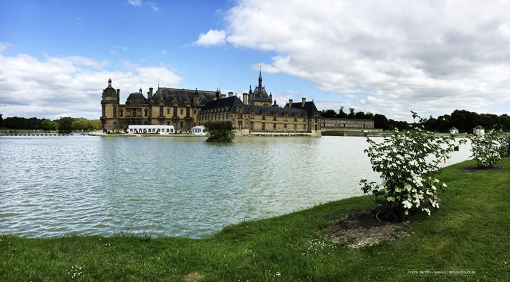 Vue sur le château de Chantilly et son lac avec Cornus kousa devant