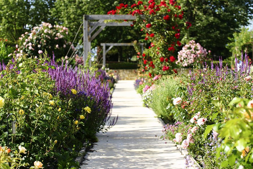 jcomjardin-jardin-cottage Styles de jardins - jardin aux bordures fleuries de vivaces et de roses